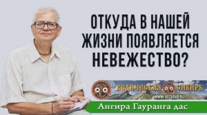 Откуда в нашей жизни появляется Невежество?