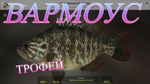 ТРОФЕЙ ВАРМОУС!!!ОЗЕРО ЛОСИНОЕ - РУССКАЯ РЫБАЛКА 4