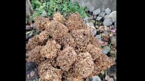 обрезка часть 2