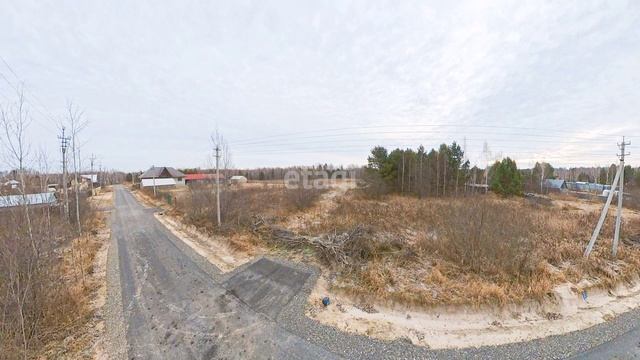 7687624 смотреть онлайн