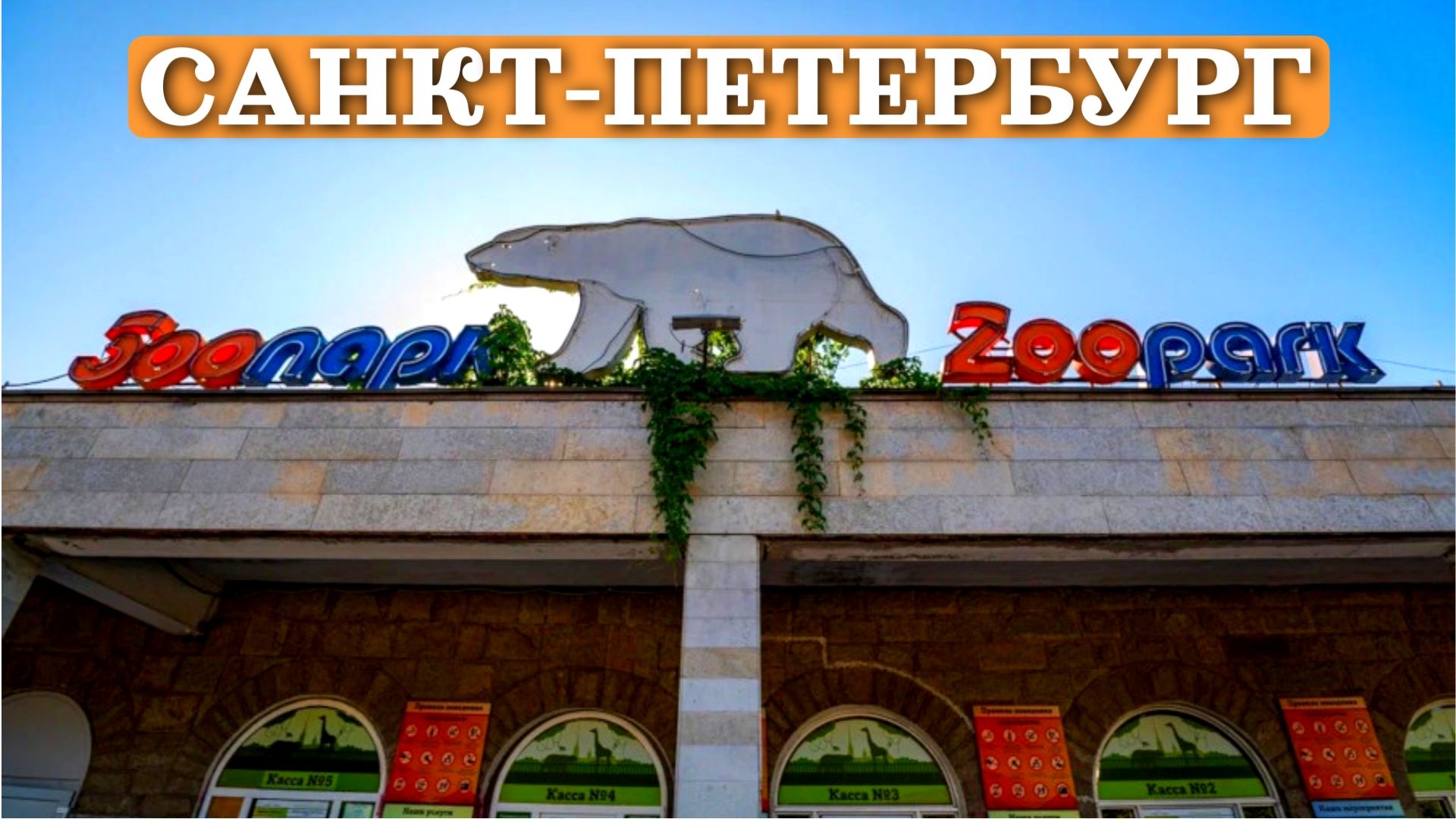 Ленинградский зоопарк, июнь 2022 года смотреть онлайн