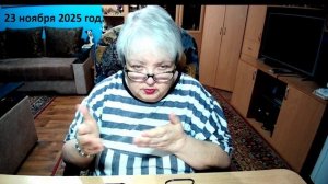 23 ноября 2025 год