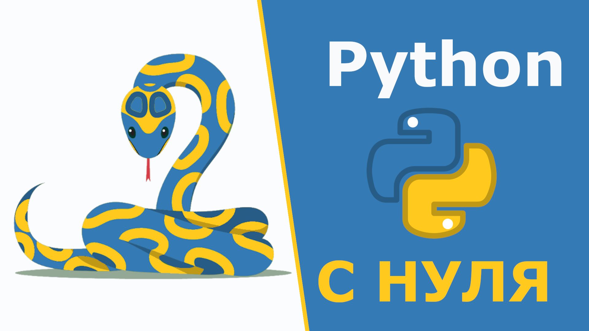 Python С НУЛЯ | Полный курс по основам программирования смотреть онлайн