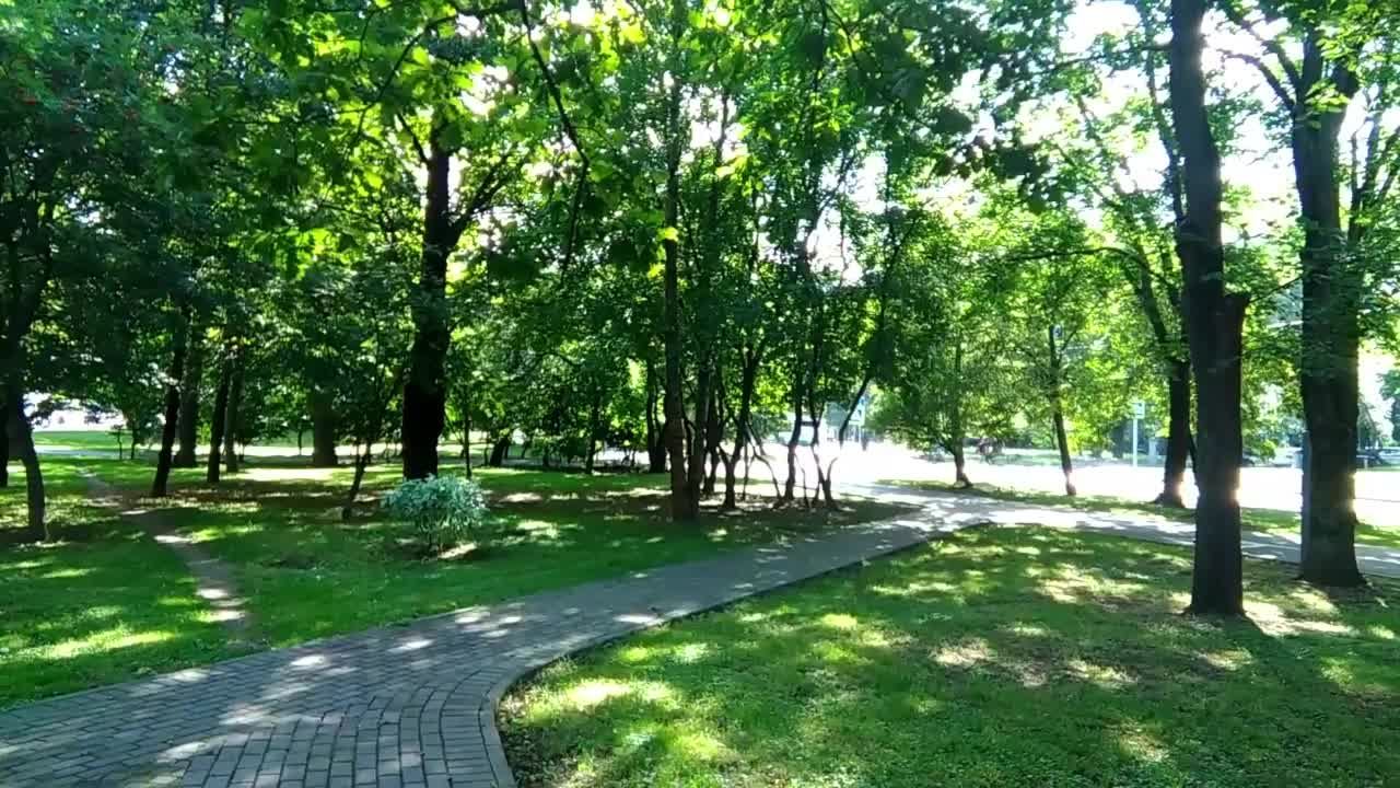 Тест Прогон смотреть онлайн