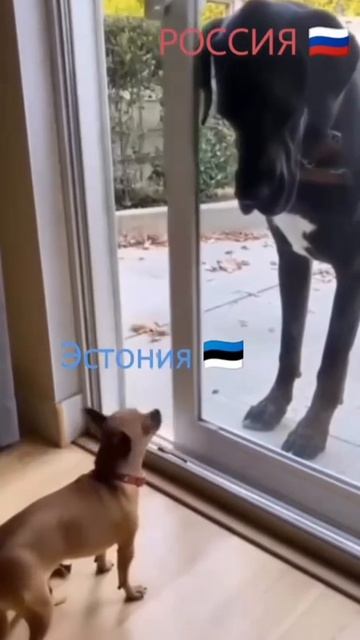 Россия 🇷🇺 смотреть онлайн