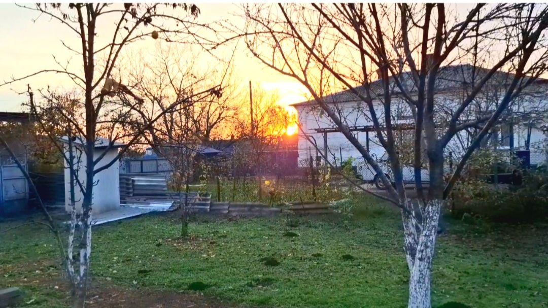 899 Утро в усадьбе на Кубани. Спасли человека. ПП завтрак. смотреть онлайн