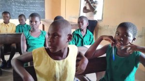 Новости ноября