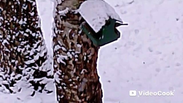 Снова снег смотреть онлайн