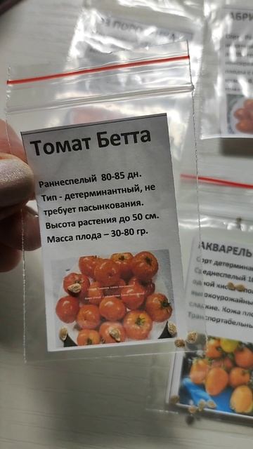 РОЗЫГРЫШ ТОМАТОВ, УСПЕВАЙТЕ ВЫИГРАТЬ В ТЕЛЕГРАММ, https://t.me/elena60sotok смотреть онлайн