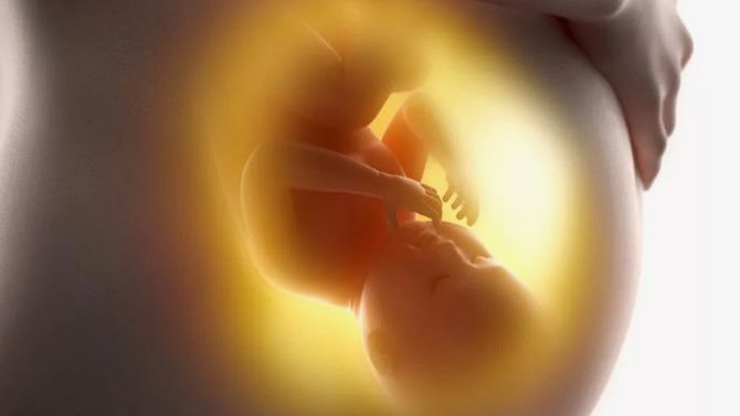 Когда ребенок в животе начинает слышать смотреть онлайн