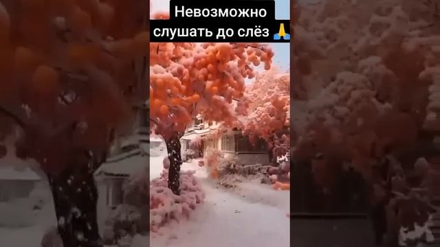 Cнег летит за воротник.Стихи Георгия из отряда БАРС - 11