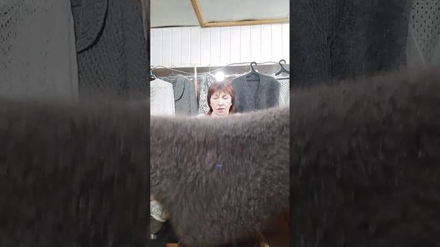 24.11.25. Пуховые и шерстяные платки косынки манишки,жилеты,стельки варежки,носки,шапки,палантины. смотреть онлайн