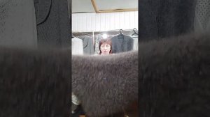 24.11.25. Пуховые и шерстяные платки косынки манишки,жилеты,стельки варежки,носки,шапки,палантины.