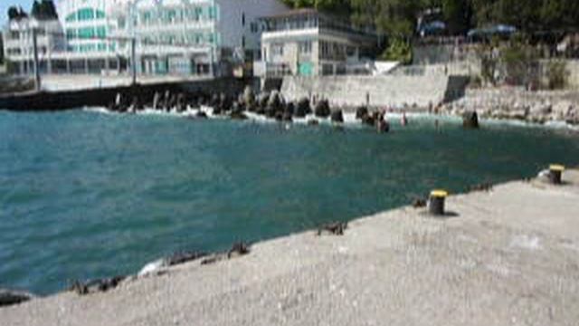 P1010575 смотреть онлайн