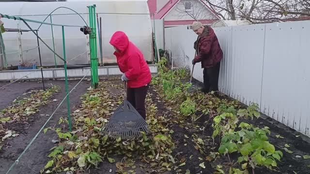 143. Обрезка малины. Ищем кур. Готовим булки.