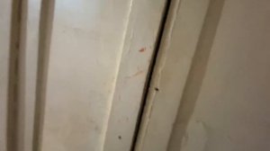 Продам квартиру проспект Труда, 88, г.Воронеж 89601262284