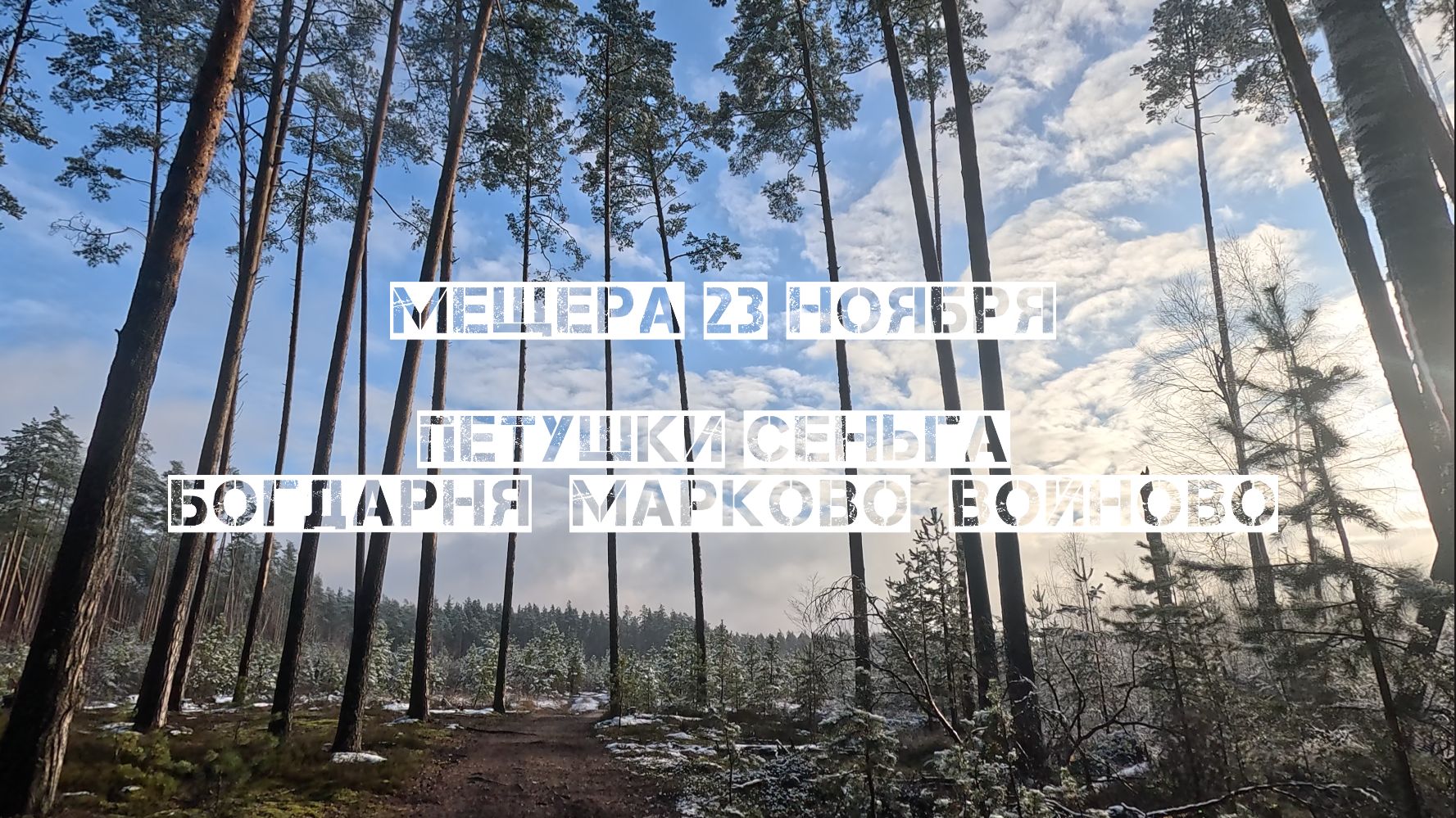 Петушки - река Сеньга - Богдарня - Марково - Войново 48км