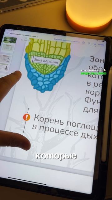 Конспекты которые заменят год подготовки к ОГЭ по биологии смотреть онлайн