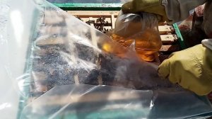 Дрожжи ПЧЁЛАМ ! Подкормка пчёл дрожжами весной пропорции ! Ускоряем развитие пчелосемей !