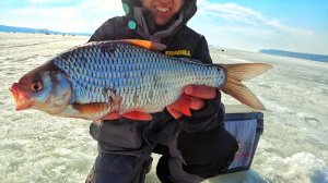 Сорога 80 уровня