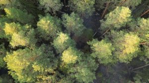 Проект «Водный рубеж»