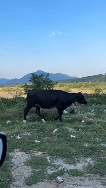 Немножко не по теме конала😊 смотреть онлайн