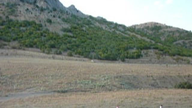 P1010700 смотреть онлайн