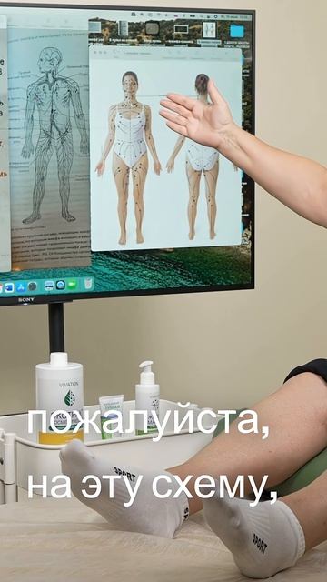 Анатомия бедра - Связь лимфатических узлов и сосудистой системы смотреть онлайн