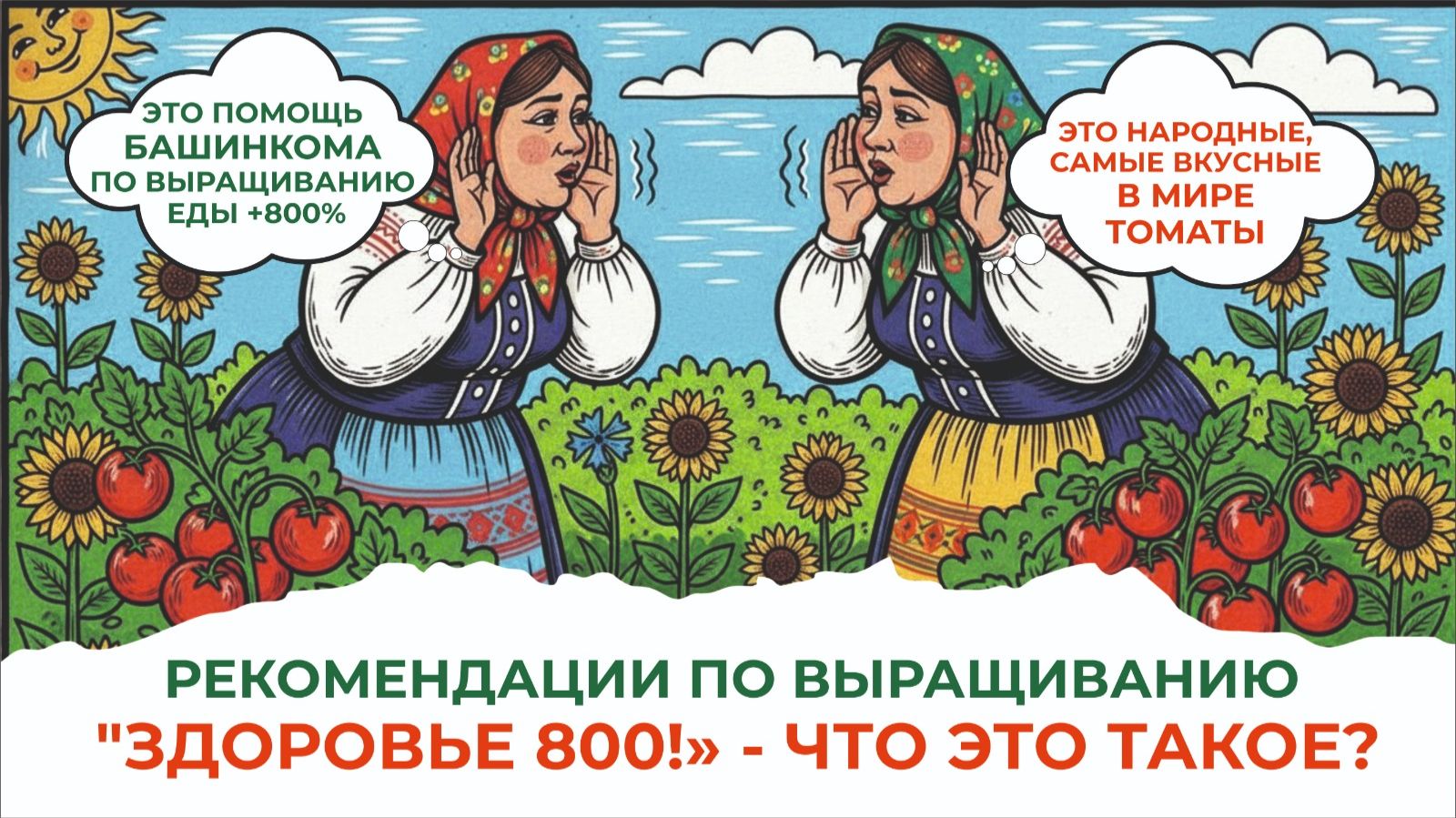 Народные, вкуснейшие сорта томатов — Еда +800% пользы. Проект «Здоровье 800» смотреть онлайн