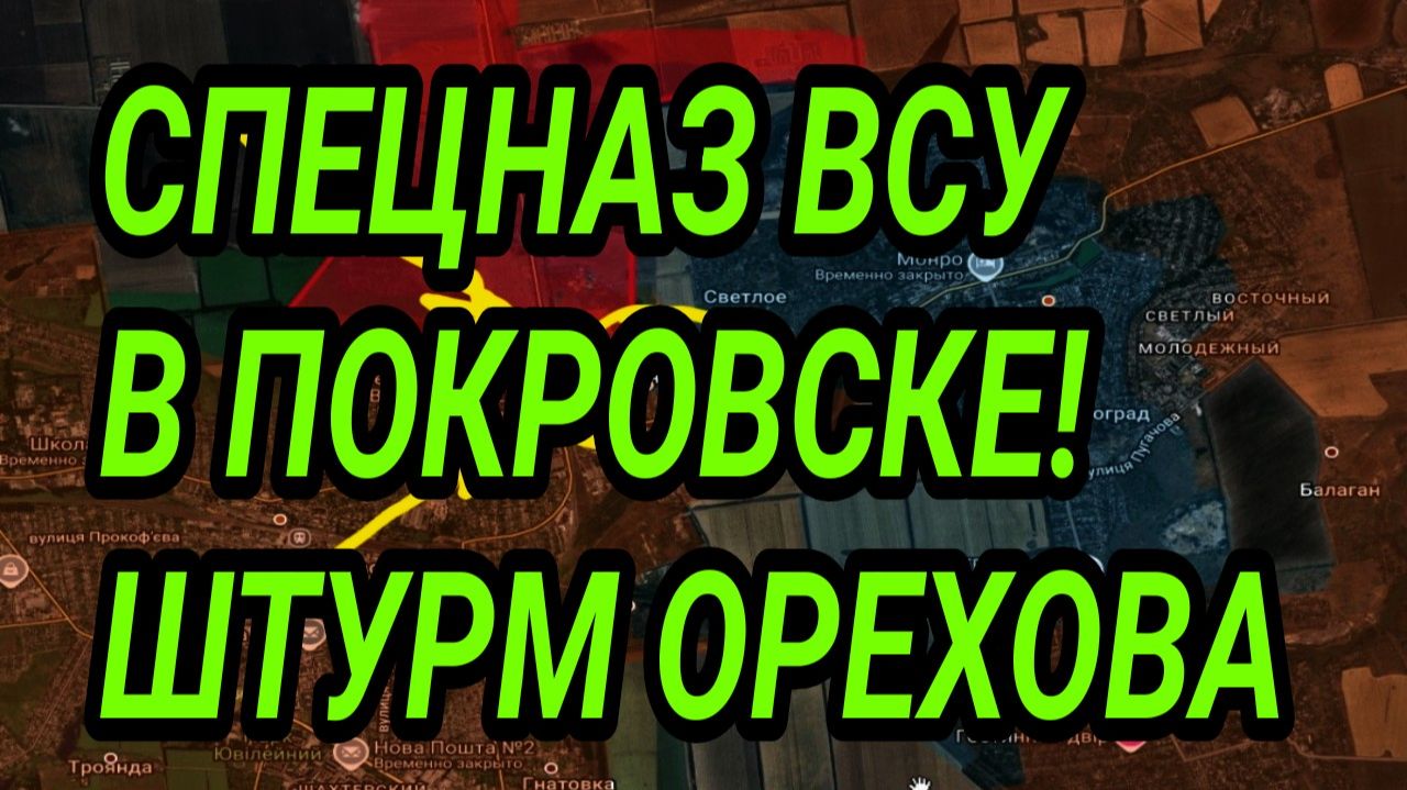 СПЕЦНАЗ ВСУ В ПОКРОВСКЕ! ШТУРМ ГУЛЯЙПОЛЯ И ОРЕХОВА! ВОЕННЫЕ СВОДКИ смотреть онлайн