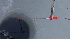 Безмотылка против поплавка