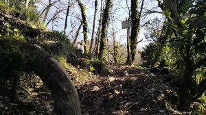 Руины древней крепости 4 века. Хоста. Сочи. Тисо-самшитовая роща