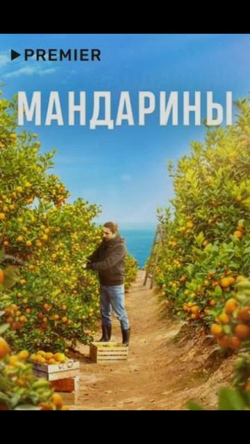 А ты знаешь что будешь смотреть сегодня? смотреть онлайн