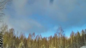 Первый выезд на охоту на зайца