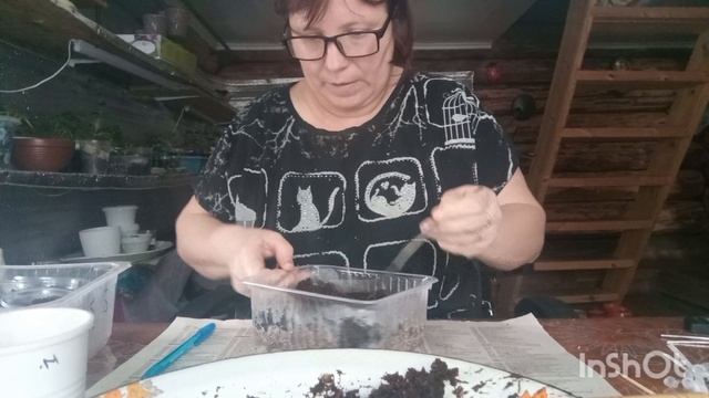 24-11-2025. Жизнь в деревне. Немного настряпала, пиццу, шаньги.Посеяла бегонию в торфяные пробки. смотреть онлайн