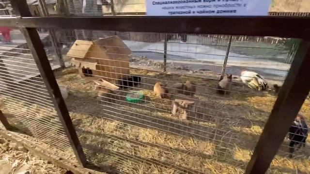 ВЛОГ Лёша НЕ БОИТСЯ ХОЛОДА ! Взяли с собой Алису и поехали на Святую Ручку ! смотреть онлайн