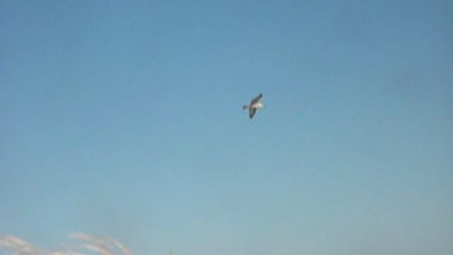 P1040546 смотреть онлайн