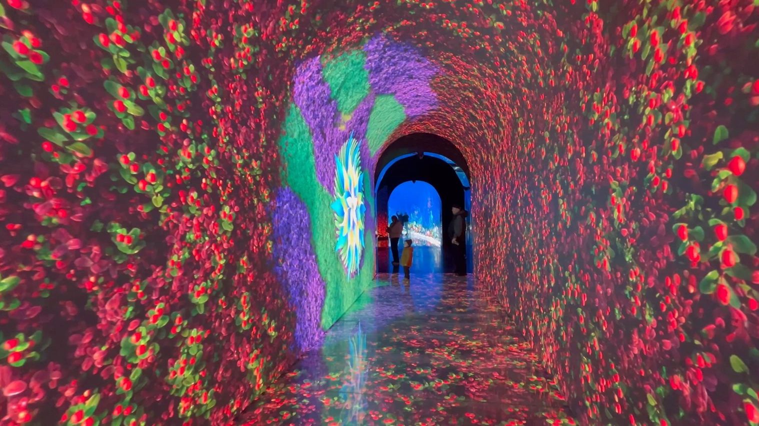 Парк Галицкого с каждым днем все краше Обзор. смотреть онлайн