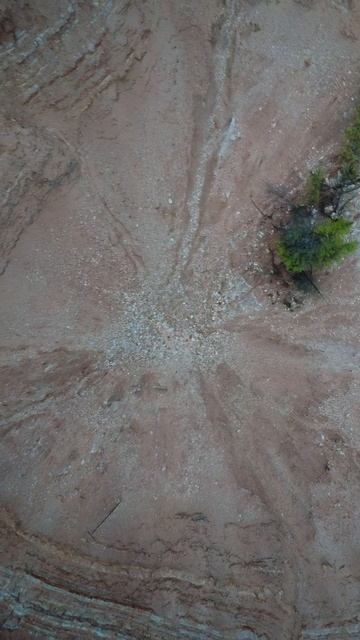 Морской глаз или то, что от него осталось. смотреть онлайн