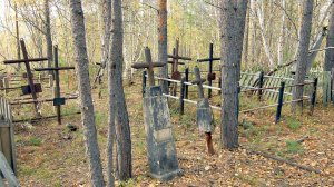 Место, где даже тишина дышит мягко...Кладбище в берёзовой роще…