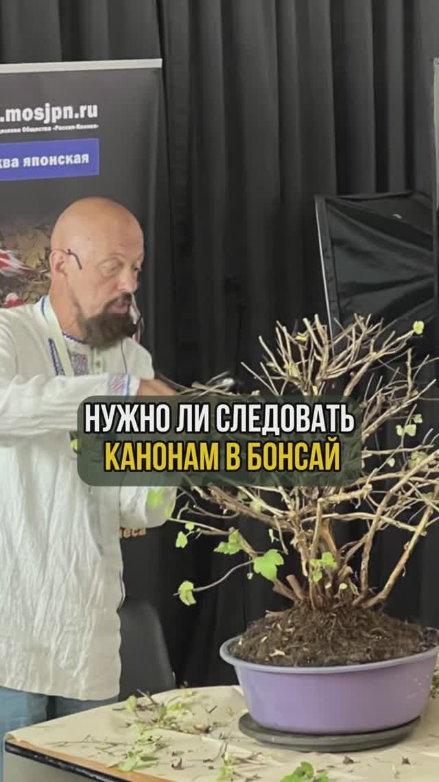 Нужно ли следовать канонам в бонсай смотреть онлайн
