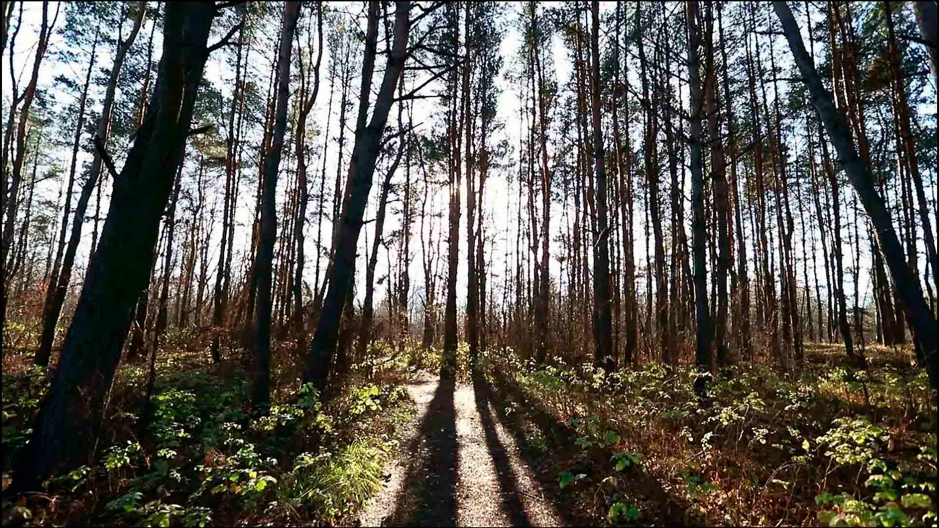 Eschaton - Tony Anderson Rework