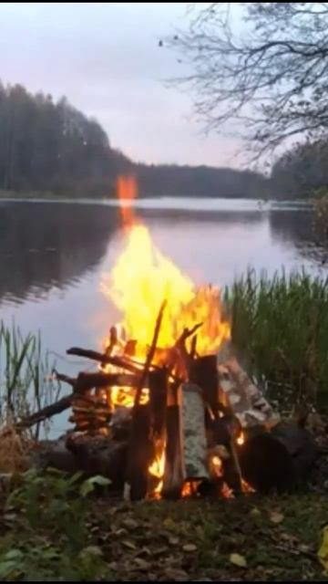 ПОКАЯНИЕ, ПОСВЯЩЕНИЕ! Псалом. #псалом #покаяние #поклонение #послание #псалмы #посвящение #церковь смотреть онлайн