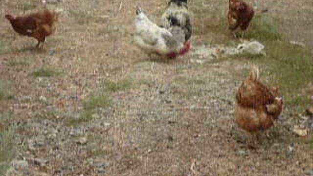 P1010679 смотреть онлайн