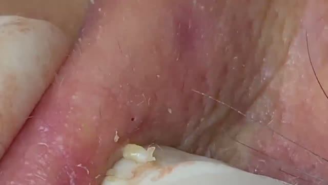 Relax Spa 009 • АСМР • SacDepSpa collection (ПА3-1) смотреть онлайн