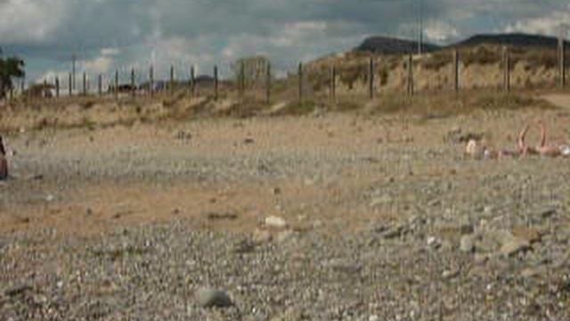 P1040575 смотреть онлайн