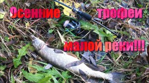 Микроджиг. Осенние трофеи малой реки!!!