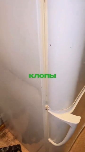 НАСТОЯЩАЯ ПРАВДА о дезинсекции!