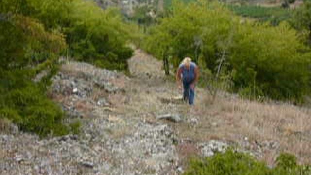 P1010635 смотреть онлайн