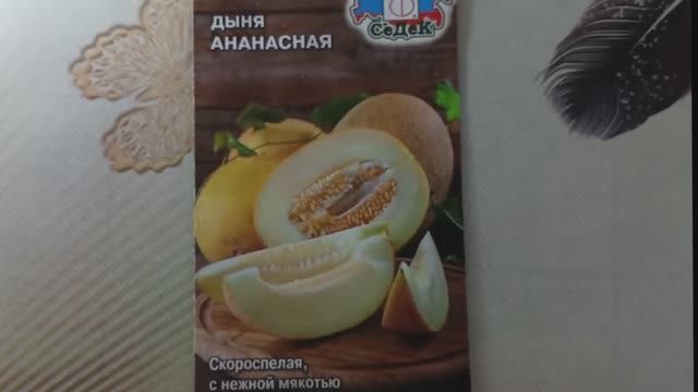 Дыня «Ананасная» — среднеранний сорт с удивительным ароматом и сладкой мякотью смотреть онлайн